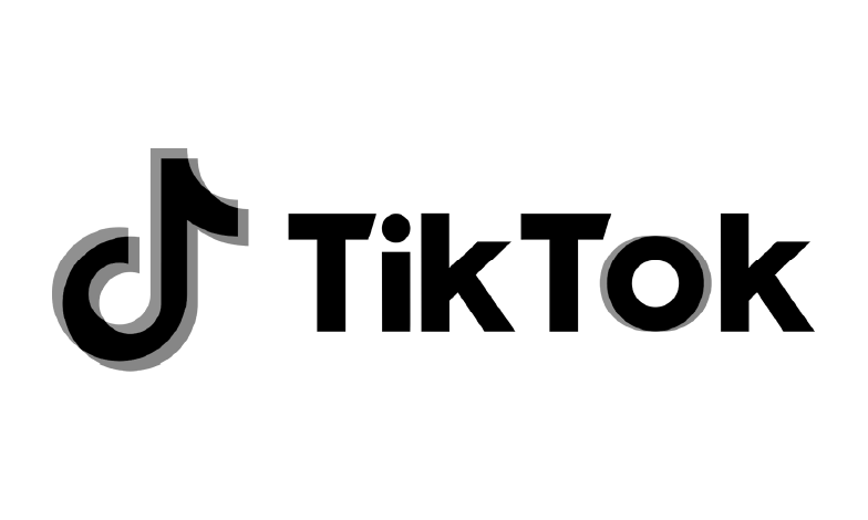 Home 3 Logotipo Cinza_Tik tok.png